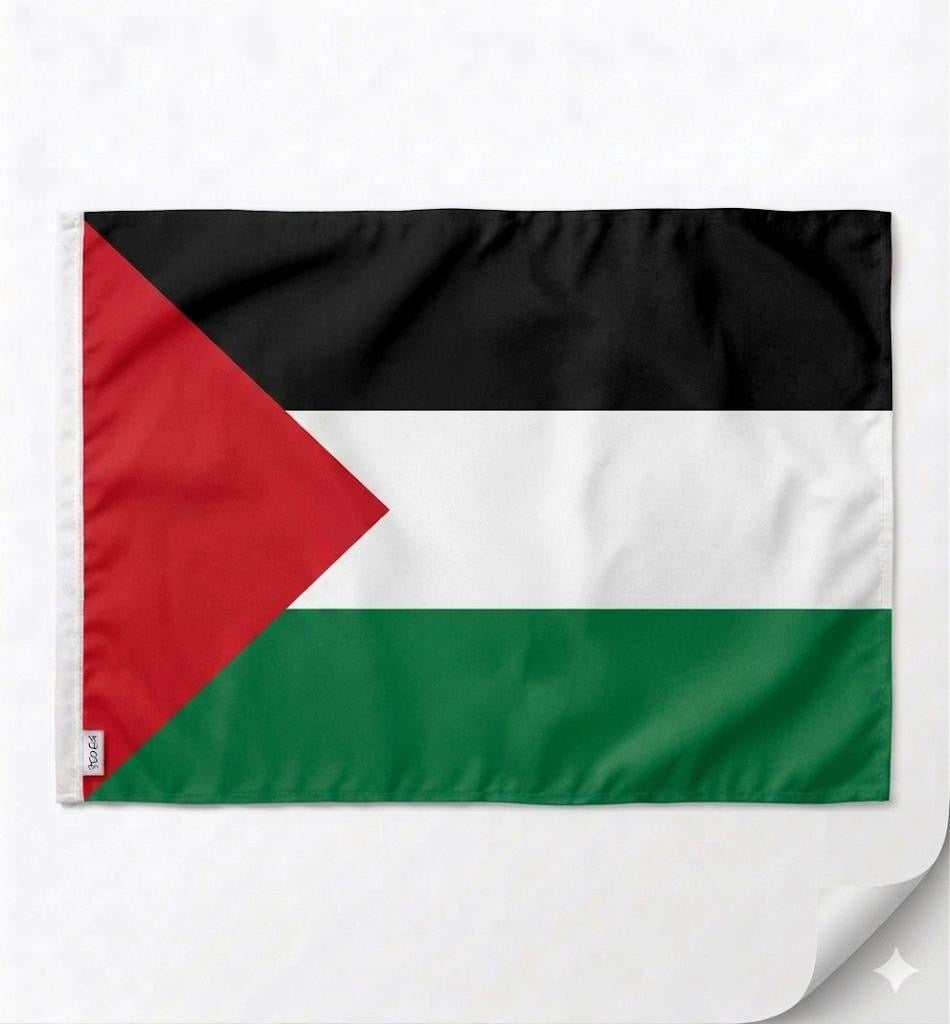 Palestine Flag 60x40cm