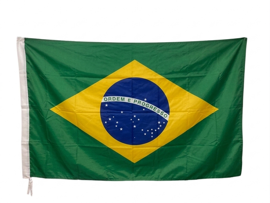 Brazil Large Flag