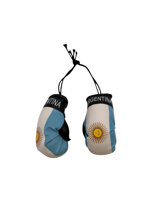 Argentina Mini Boxing gloves