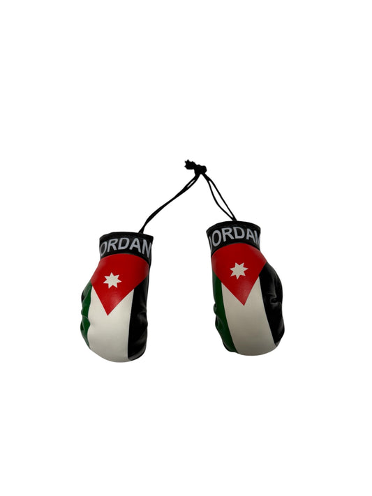 Jordan Mini Boxing gloves